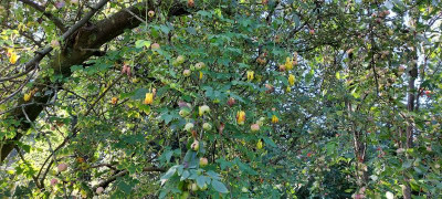 20220921_095604.jpg
