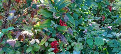 20220921_095836.jpg