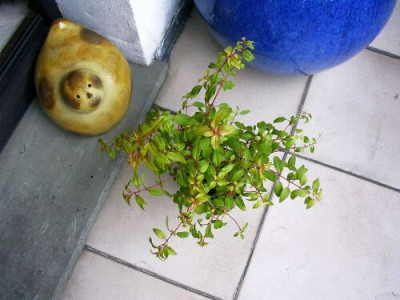 25_10_2004_Unbekannte_1.jpg