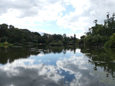 2022-09-21 LAGA Torgau 51.jpg