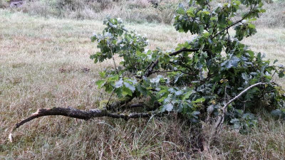 IMG-20220922-WA0013.jpeg