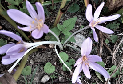 20220921_130448.jpg