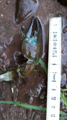 IMG-20220923-WA0007.jpeg