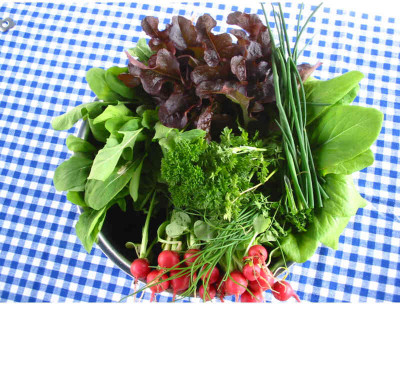 Ernte_06.05.08.jpg