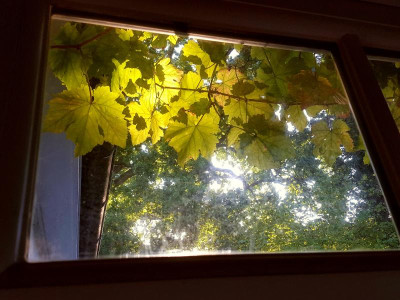 20220925_083741.jpg