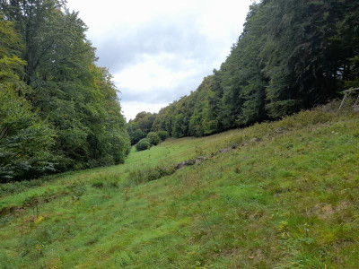 20220926_125235.jpg