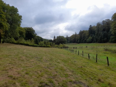 20220927_100057.jpg