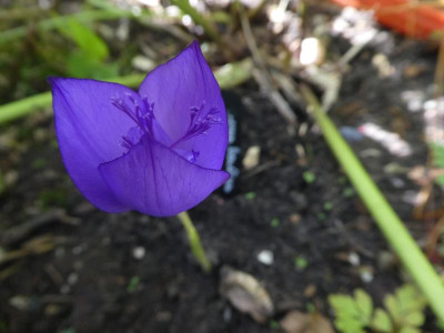 P1160084.JPG
