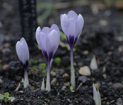 DSC_6311_DxO.jpg