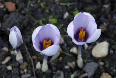 DSC_6342_DxO.jpg