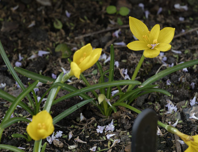 DSC_6346_DxO.jpg