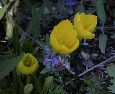 DSC_6345_DxO.jpg