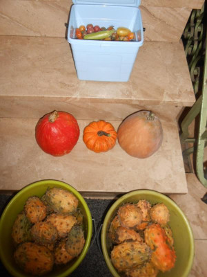 DSCN4964.JPG