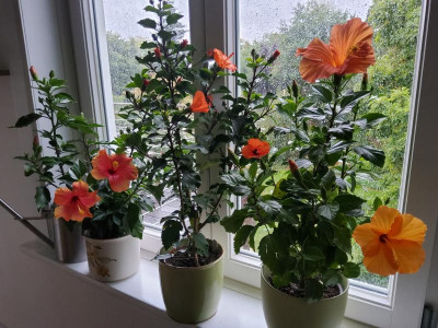 20221001_090234.jpg