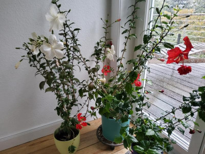 20221001_090218.jpg