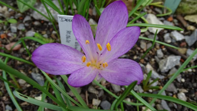 DSC03800.JPG