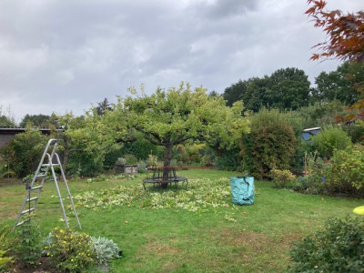Garten.jpg