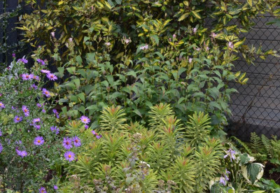 DSC_5695.JPG