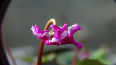 DSC00101.JPG