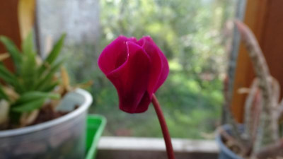 DSC00114.JPG