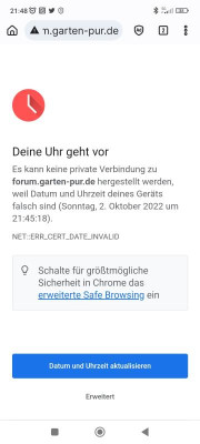 Screenshot_2022-10-02-21-48-51-172_com.ecosia.android.jpg