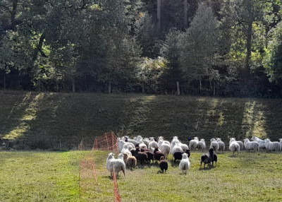 CundFziehenvorbei.jpg