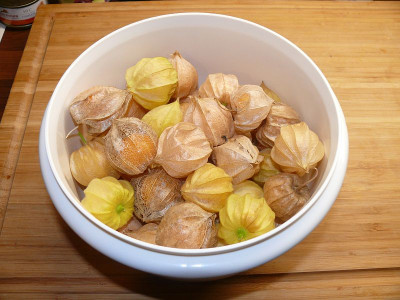 221004_Lucie's Big Physalis.jpg