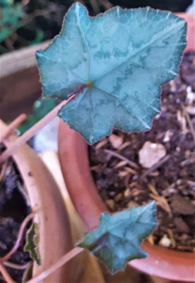 20221004_153631.jpg