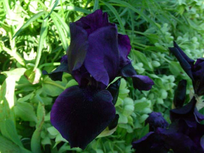 Hellen_Proctor_DSCN2282.JPG
