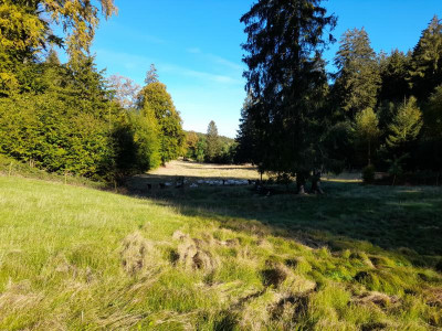 wohlkopfherbst22.jpg