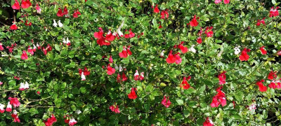 20221003_125952.jpg