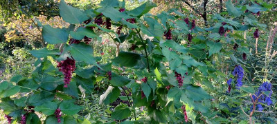 20221007_094126.jpg