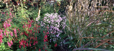 20221007_094508.jpg