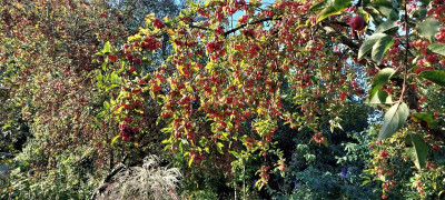 20221007_094314.jpg