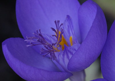 DSC_6438_DxO.jpg