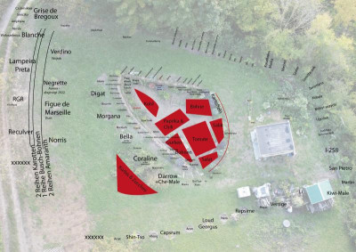Gartenplanung-2022-01.jpg