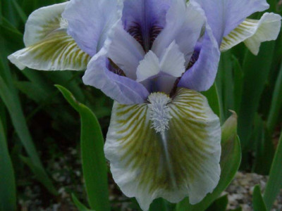 Agathes_DSCN2126.JPG