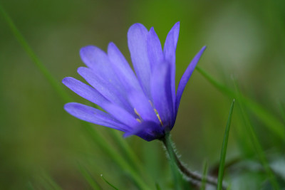 April-Makro-2.jpg
