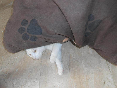 DSCN5007.JPG