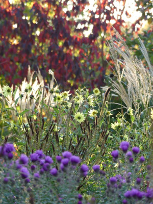 2022-10-12 Gartenimpressionen 1.jpg