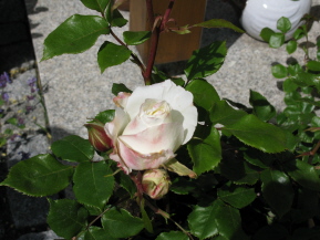 IMG_0029.JPG