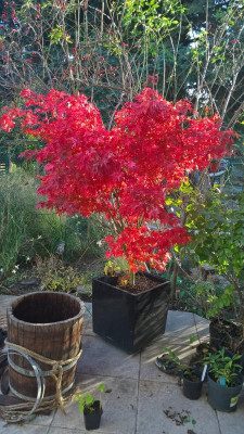 WP_20221009_17_14_20_Pro.jpg