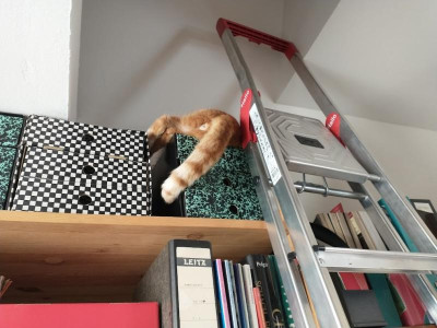 versteckt.jpg