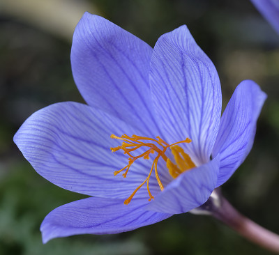 DSC_6446_DxO.jpg