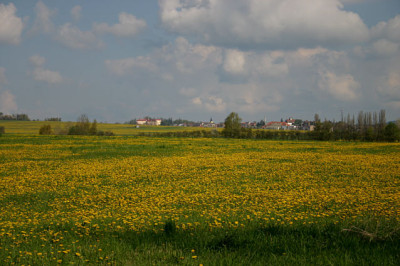 Weseritz1908.jpg