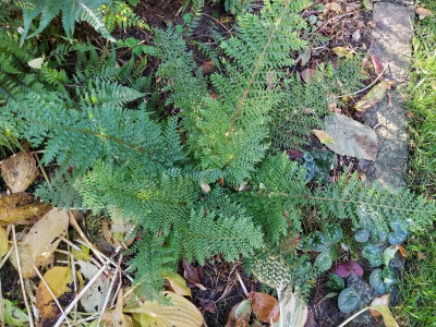 20221017_095753.jpg