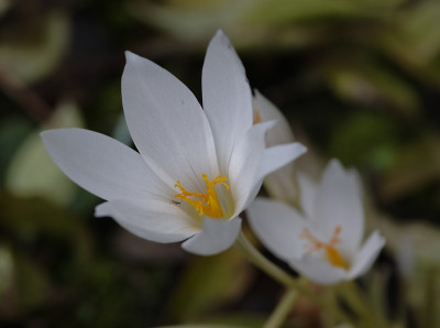 DSC_6513_DxO.jpg