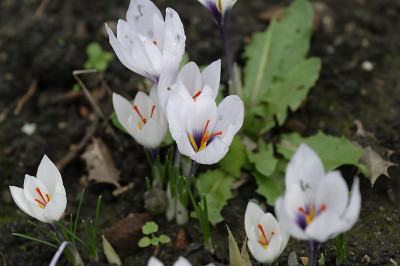 DSC_6504_DxO.jpg