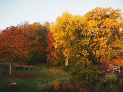 Herbst 20.10.22 ue.JPG