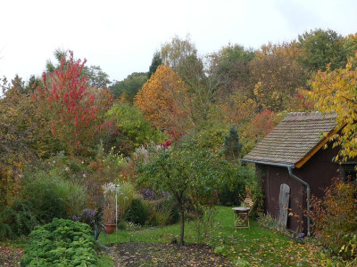 2022-10-21 Gartenimpressionen 1.jpg